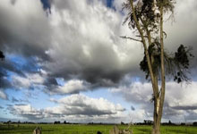 避坑指南：飞牛 FnOS重启后1panel就打不开web控制台，一次失败的“延时启动”尝试