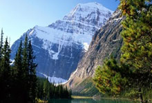 避坑指南：飞牛 FnOS重启后1panel就打不开web控制台，一次失败的“延时启动”尝试